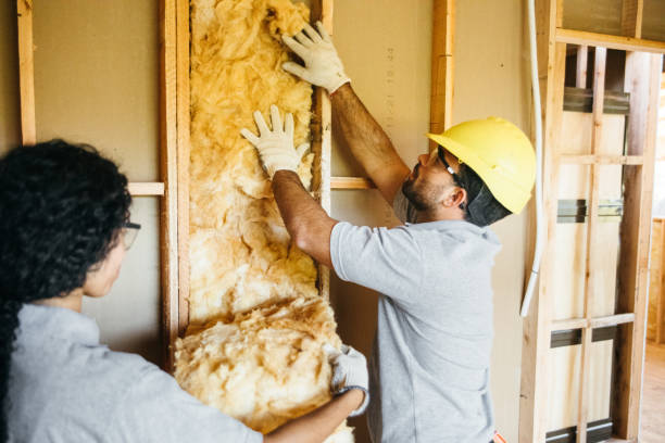 Types of Insulation We Offer in Lakewood Park, TN